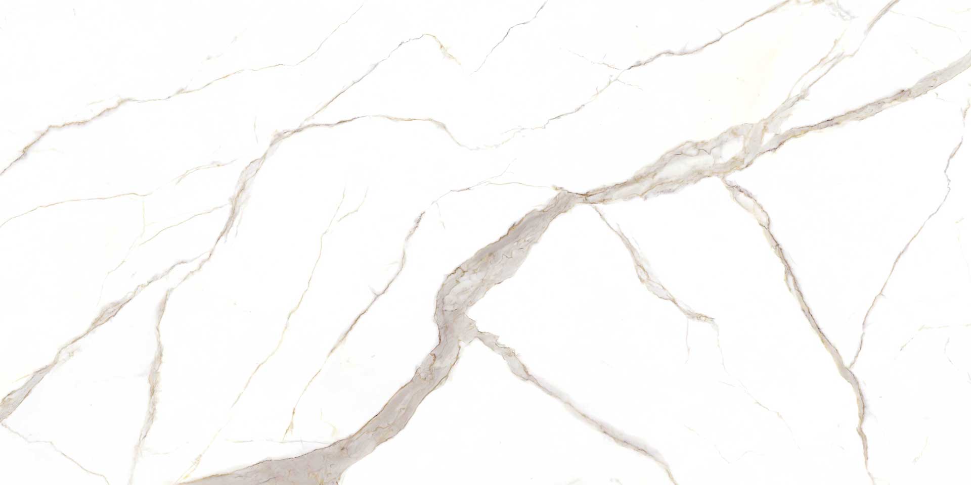 Diore-Etienne-full-slab-B2-web